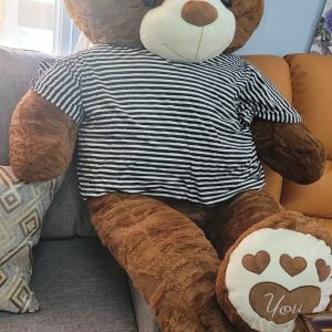 Meet Your New Best Friend: The Jumbo Comfort Bear
